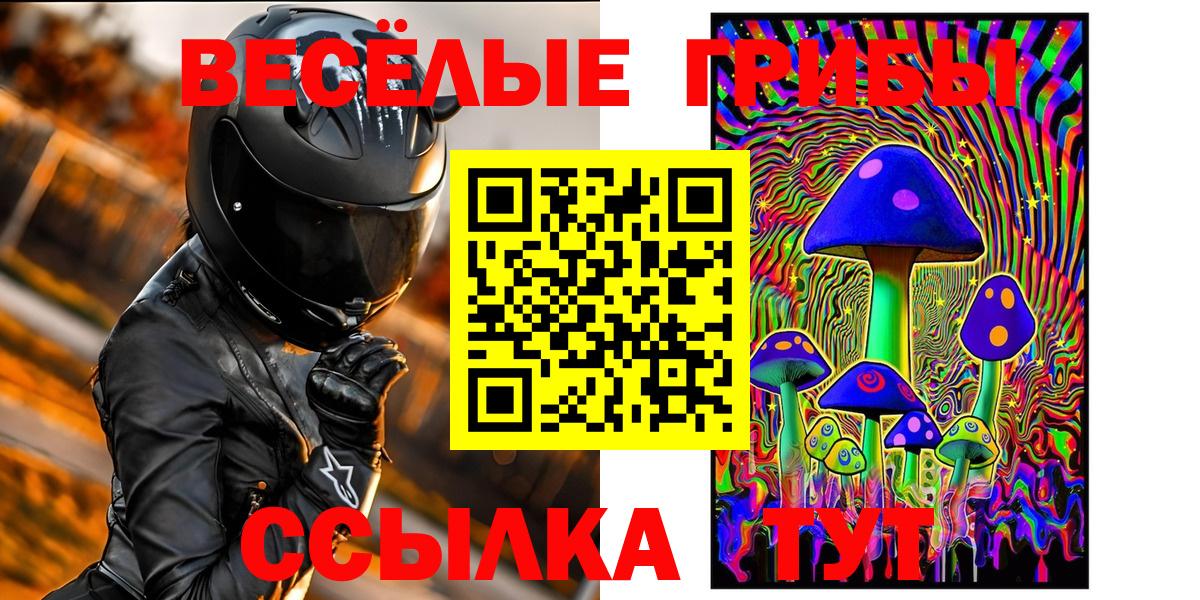 Петрозаводск  Галлюциногенные грибы Psilocybine cubensis  Вход с VPN 