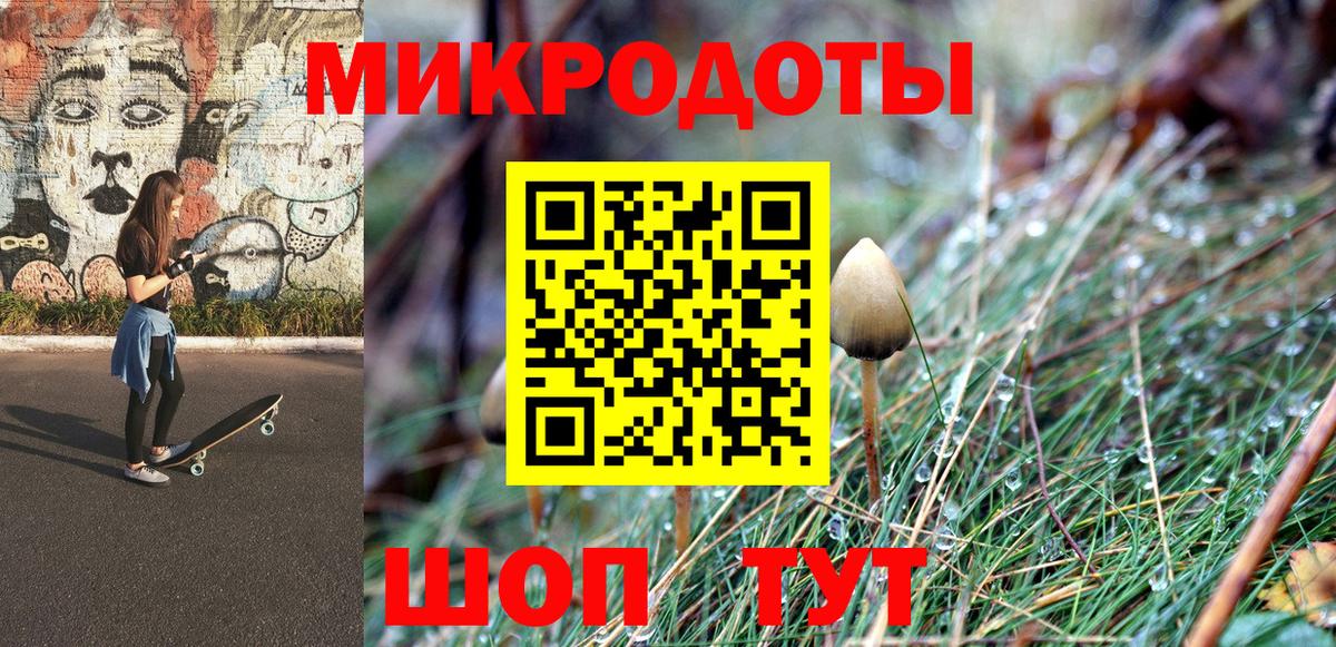 Галлюциногенные грибы Psilocybe Петрозаводск